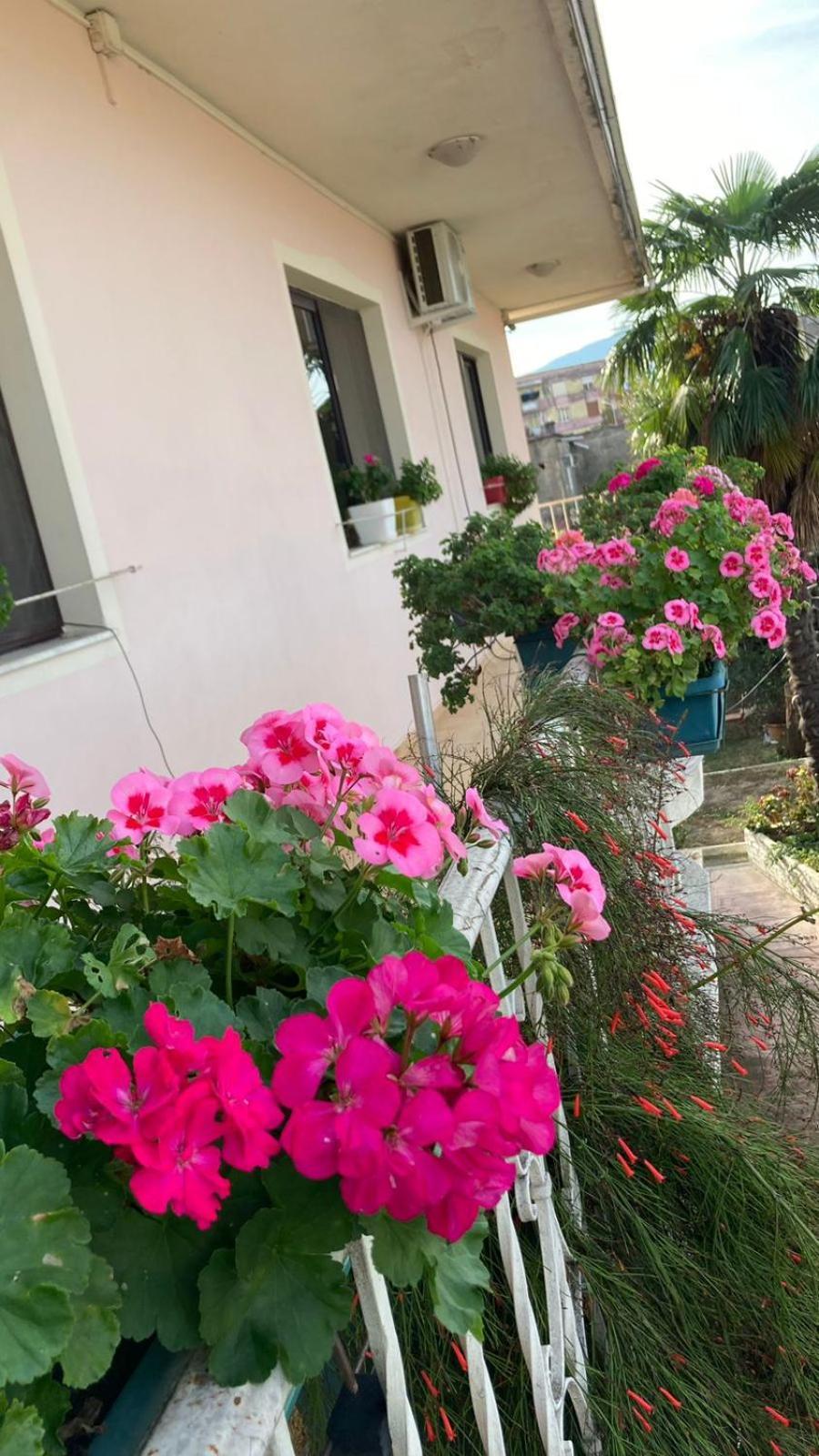 Blissful Hostel Shkodër Eksteriør bilde