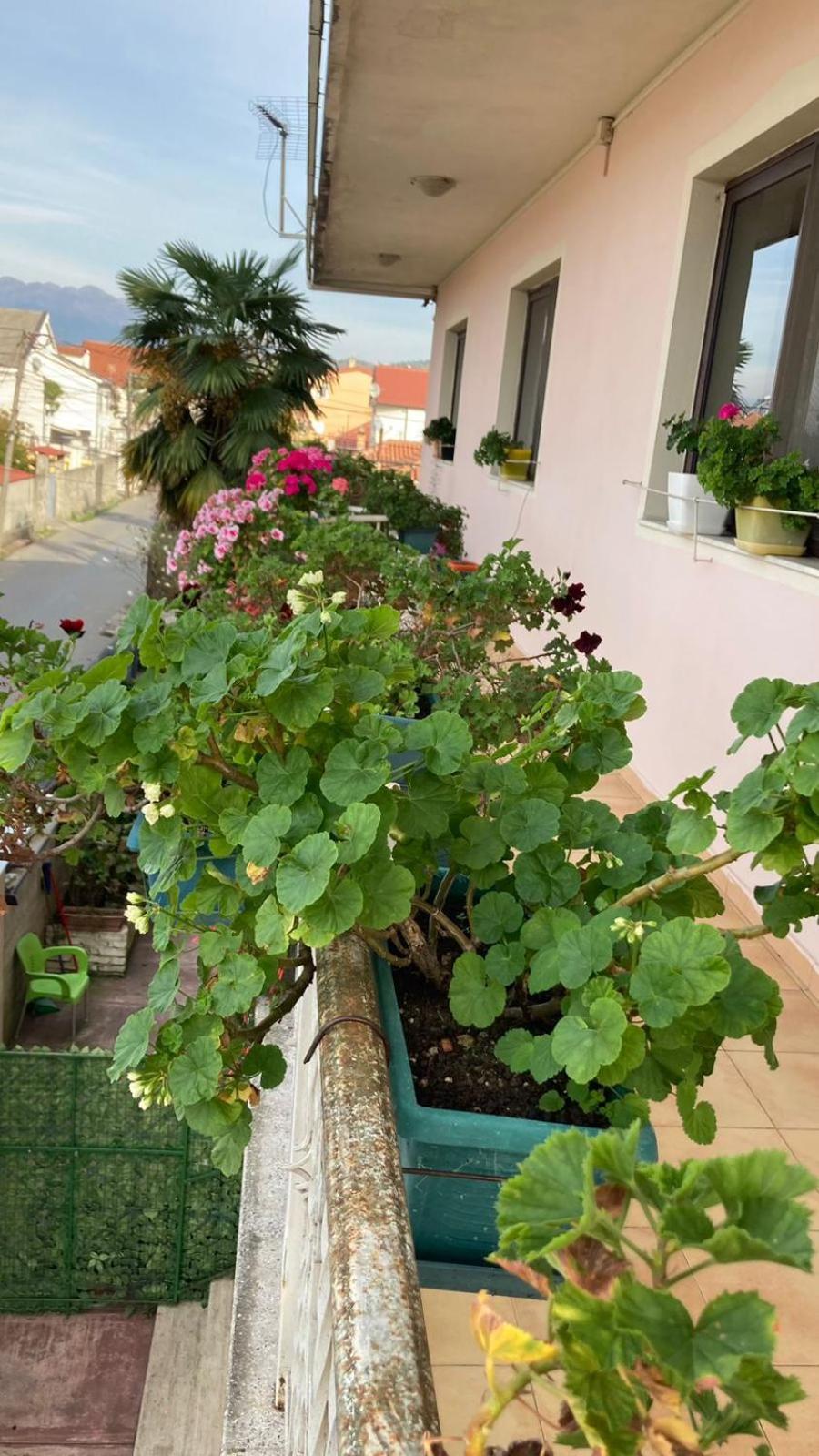 Blissful Hostel Shkodër Eksteriør bilde
