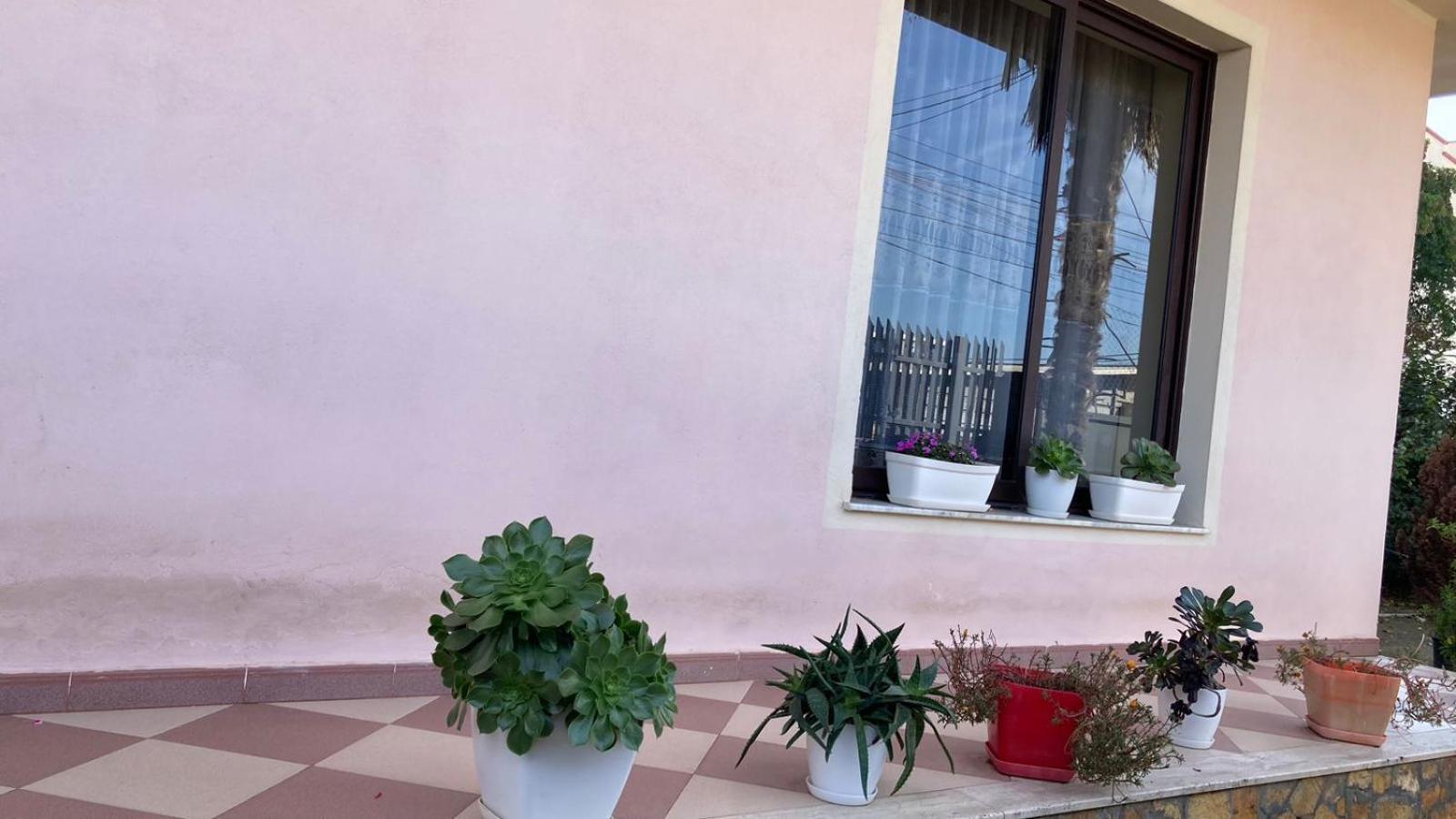 Blissful Hostel Shkodër Eksteriør bilde